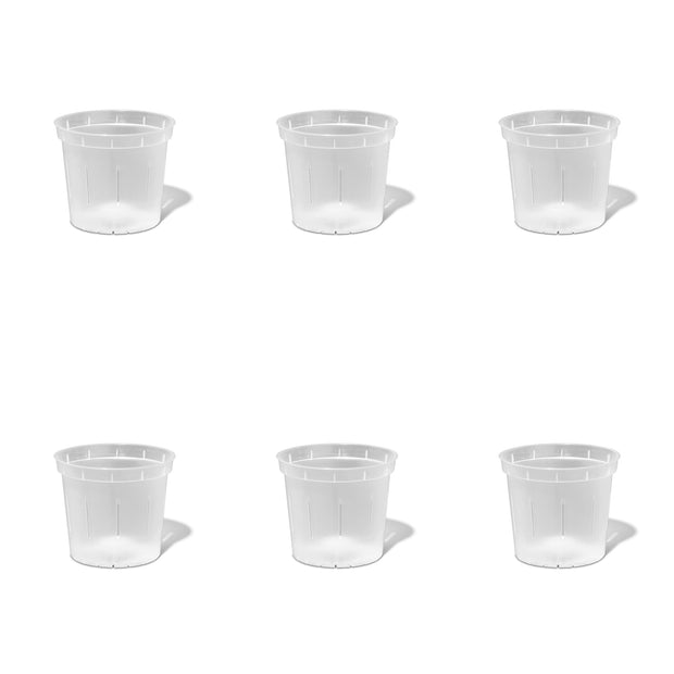 5 inch Slotted Orchid Pot (6 Pack)