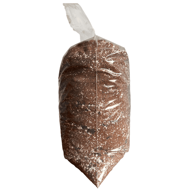 ZZ Plant Imperial Potting Soil rePotme