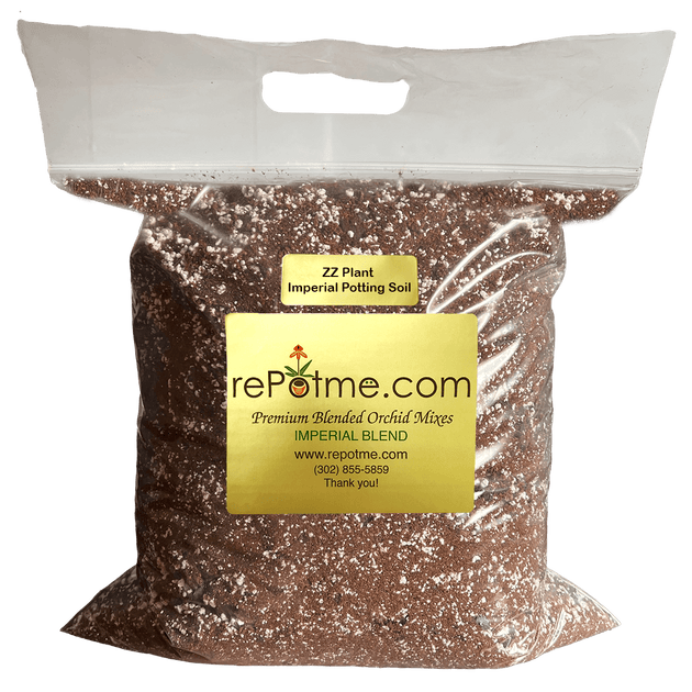 ZZ Plant Imperial Potting Soil rePotme
