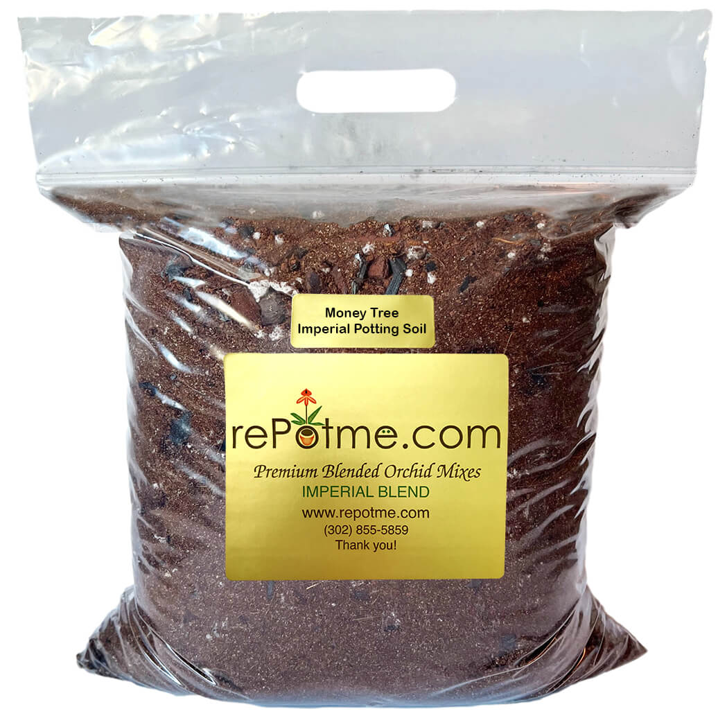 potting soil for money tree plant Money Tree Imperial Potting Soil Mix Mini Bag