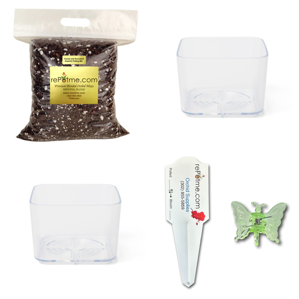 grow your own succulent kit All Purpose Cactus & Succulent Starter Kit – rePotme