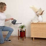 Prism Plant Stand