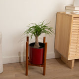 8 inch Aqua Core Self Watering Pot - Ruby Red