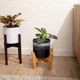 8 inch Aqua Core Self Watering Pot - Midnight Sky