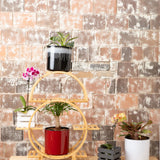 8 inch Aqua Core Self Watering Pot - Designer White