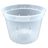 8" Slotted Clear Orchid Pot