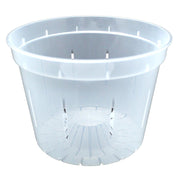 8" Slotted Clear Orchid Pot