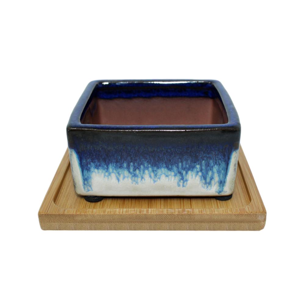 square succulent pots 4" Cobalt Blue Over Cream Square Ceramic Succulent Pot With Decorative Bamboo Saucer