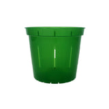 5" Green Emerald Slotted Orchid Pot