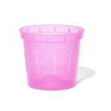 5" Rose Quartz Slotted Orchid Pot