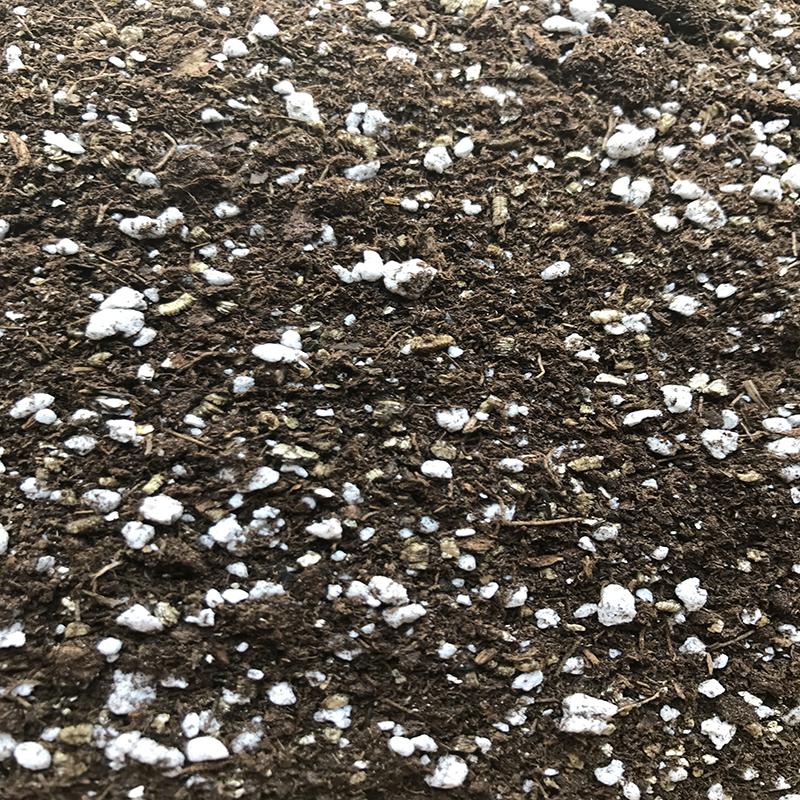 African Violet Imperial Potting Soil - Soil-Mix