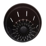 Black Onyx Slotted Violet Pot - Slot-Pots