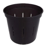 Black Onyx Slotted Violet Pot - 6 Inch - Slot-Pots