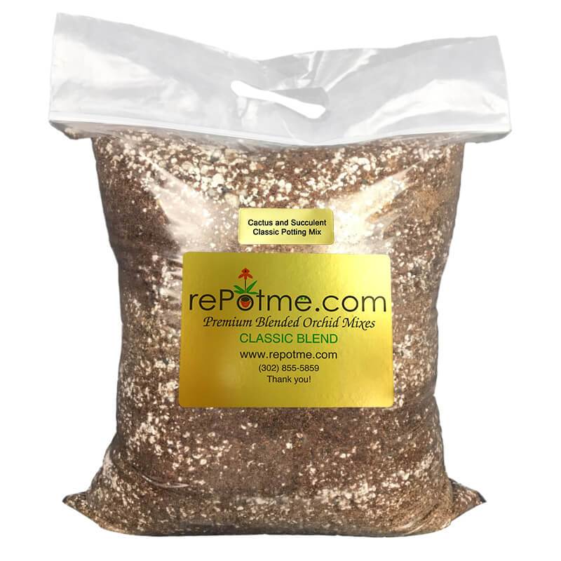 succulent potting mixture All Purpose Cactus and Succulent Classic Potting Mix Standard Bag