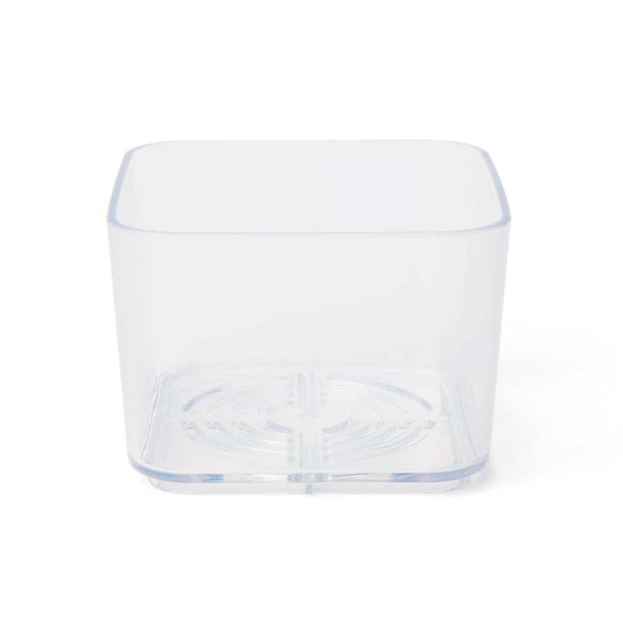 succulent containers for sale rePotme 3" Clear Succulent Pots