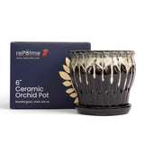 6" Honey Cream Over Coffee Pinwheel Fluted Orchid Pot