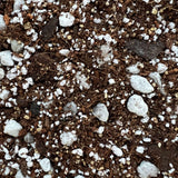 Christmas Cactus Imperial Potting Mix