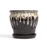 6" Honey Cream Over Coffee Pinwheel Fluted Orchid Pot