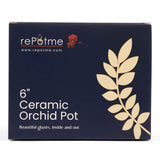 6" Teal Jade Pinwheel Fluted Orchid Pot