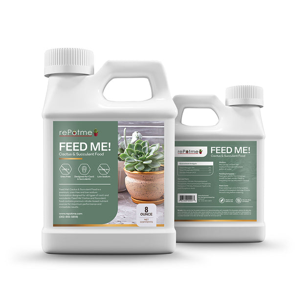 Cactus and Succulent Fertilizer rePotme