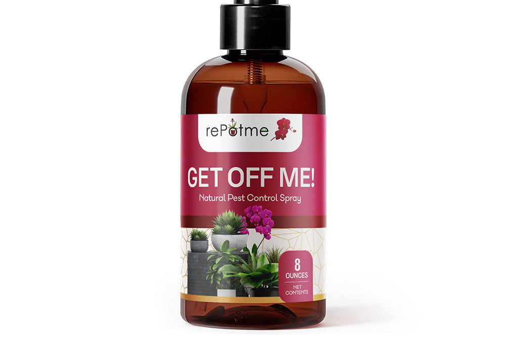 insect spray for succulents GET OFF ME! Natural Pest Control