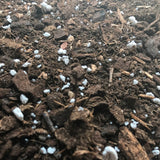 Cymbidium Imperial Orchid Potting Mix