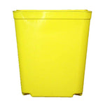 5.5" Jumbo Yellow Square Orchid Pot