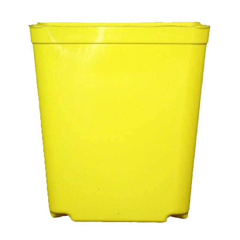 5.5" Jumbo Yellow Square Orchid Pot