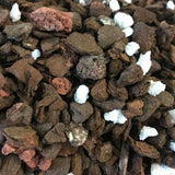 Dendrobium Imperial Orchid Potting Mix