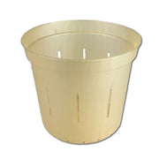 Golden Creme Slotted Violet Pot - 5 Inch - Slot-Pots