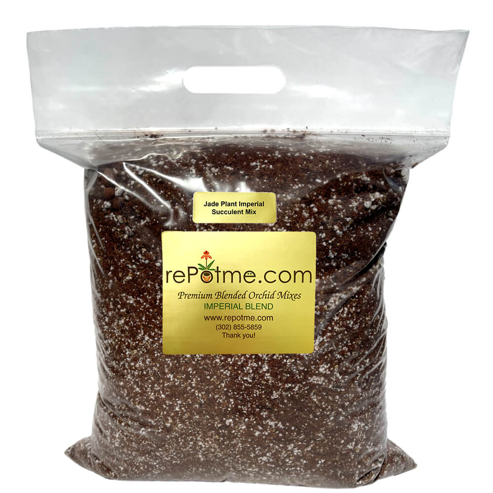 soil for succulent plants Jade Plant Imperial Succulent Mix Standard Bag
