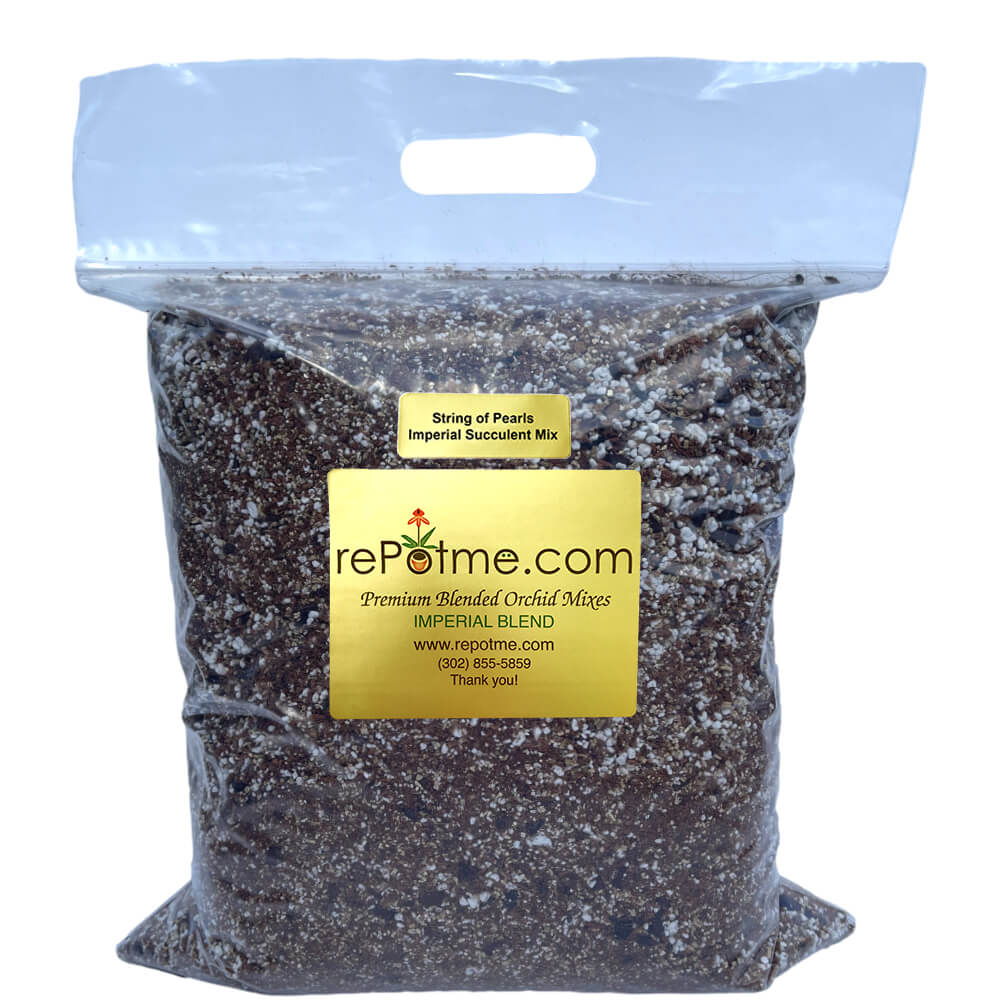 is orchid mix good for succulents String of Pearls Imperial Succulent Mix Half Box