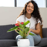 6 inch Aqua Core Self Watering Pot - Designer White