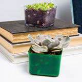 3" Green Emerald Succulent Pot