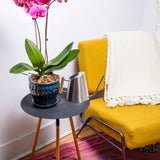 6" Teal Jade Pinwheel Fluted Orchid Pot