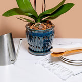 rePotme 1.25 Quart Stainless Steel Watering Can - Royal Silver