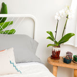 4" x 6" Cream Over Garnet Fluted Hexagon Ceramic Orchid Pot