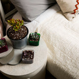 5.5" Oxygen Core Dual Orchid Pot