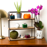 4" x 6" White Diamond Fluted Hexagon Ceramic Orchid Pot