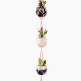 Deluxe Hand Woven Triple Macrame Hanger - Rose Quartz