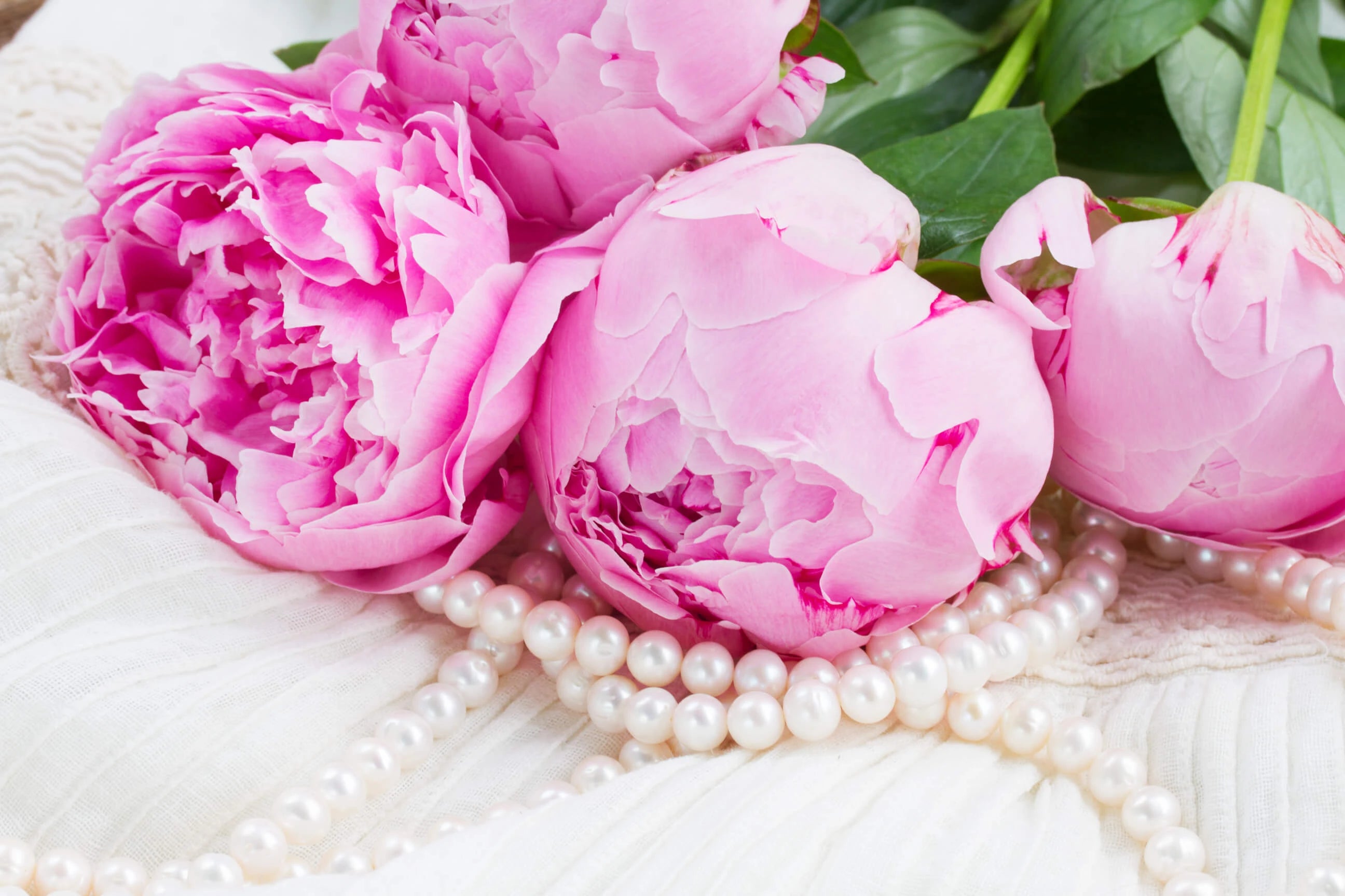 Peonies
