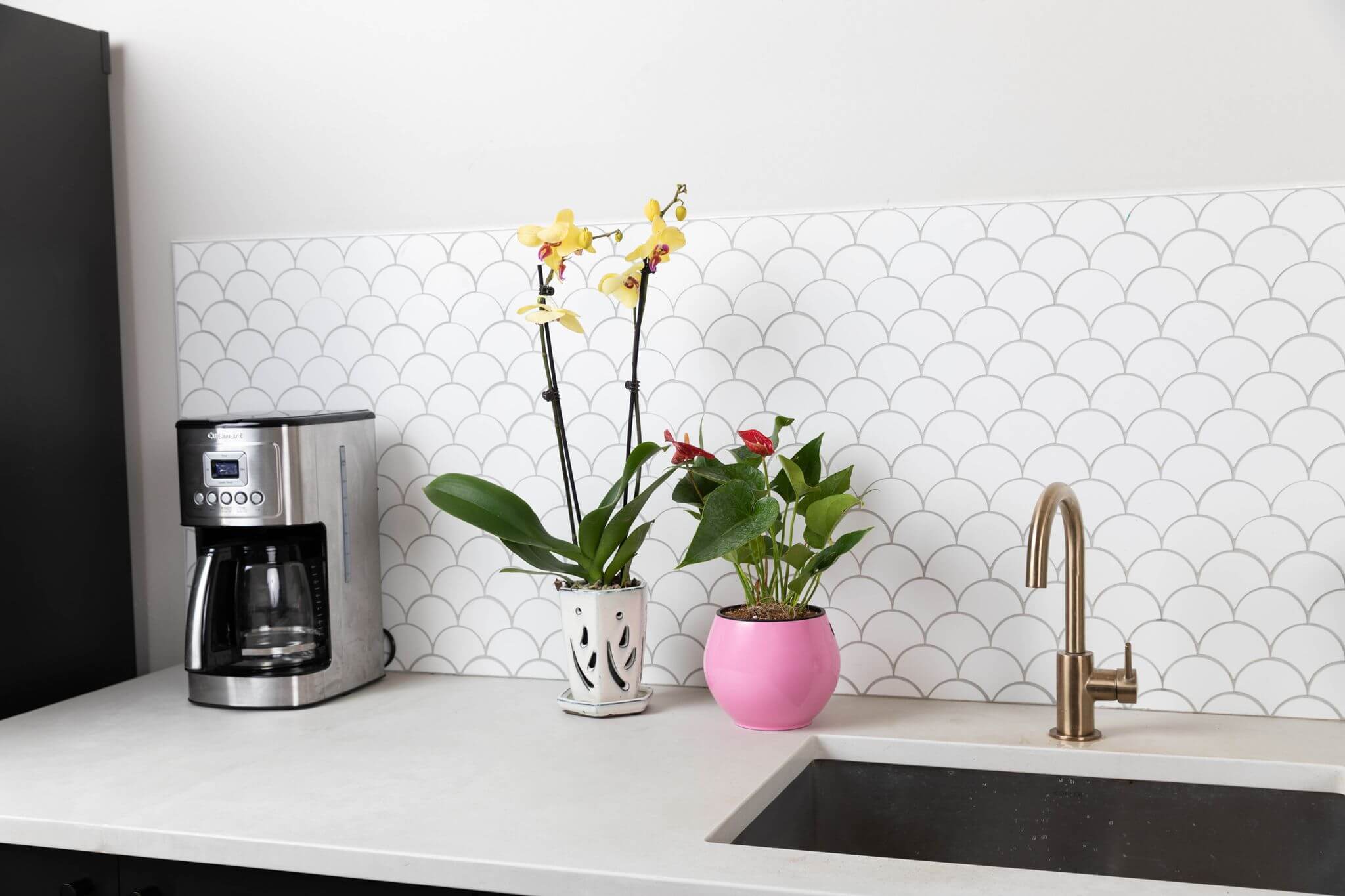 Orchid Pots