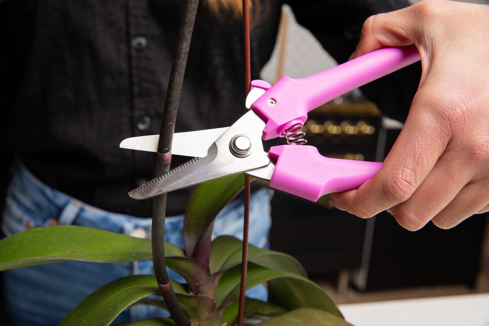 Plant Clippers