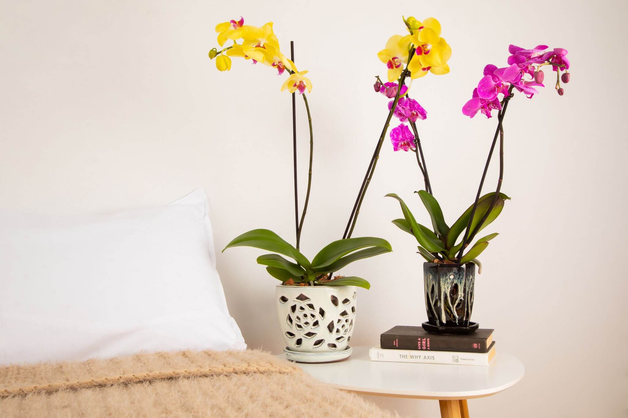 8" Ceramic Orchid Pots