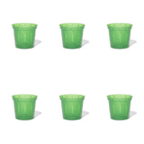 5 inch Slotted Orchid Pot (6 Pack)
