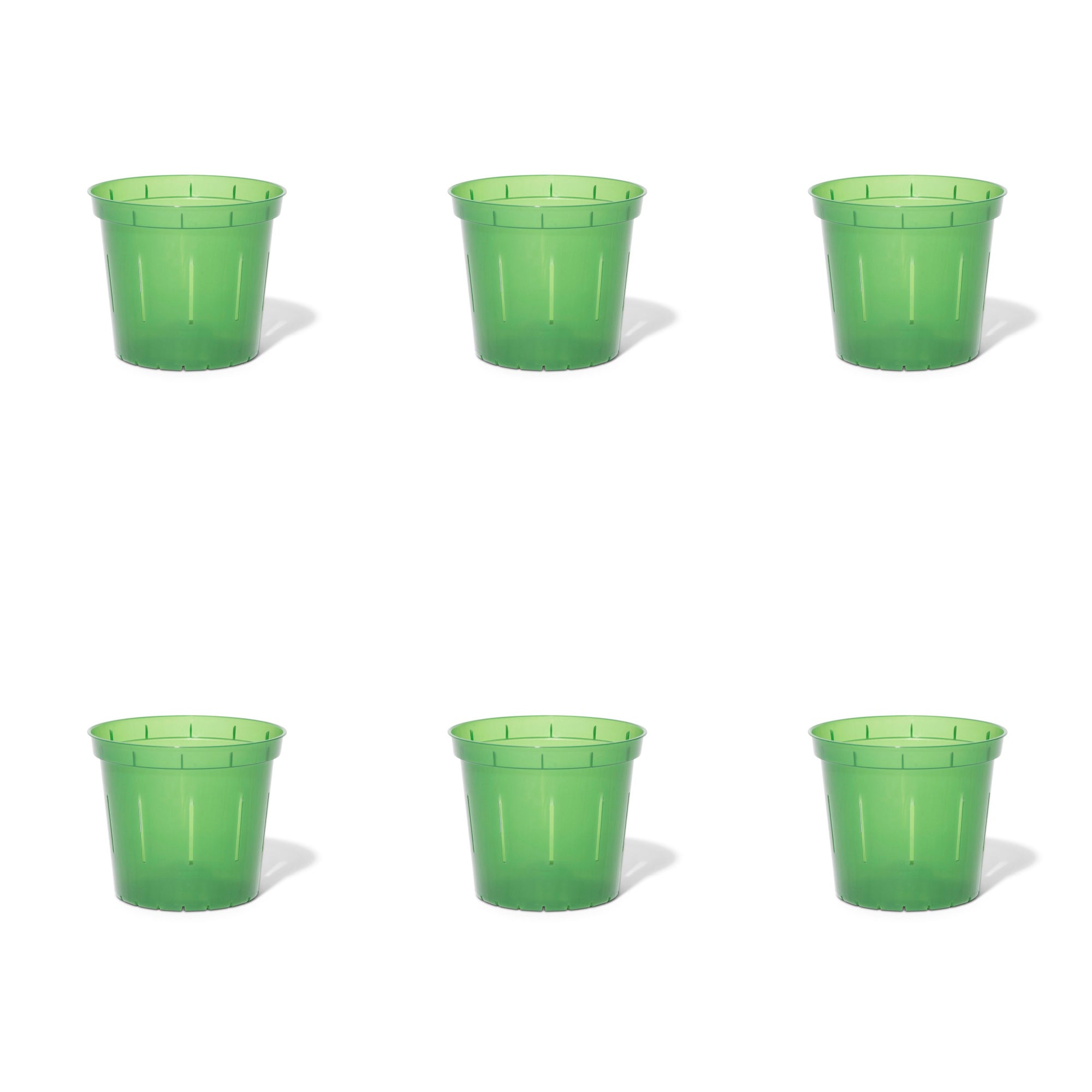 5 inch Slotted Orchid Pot (6 Pack)