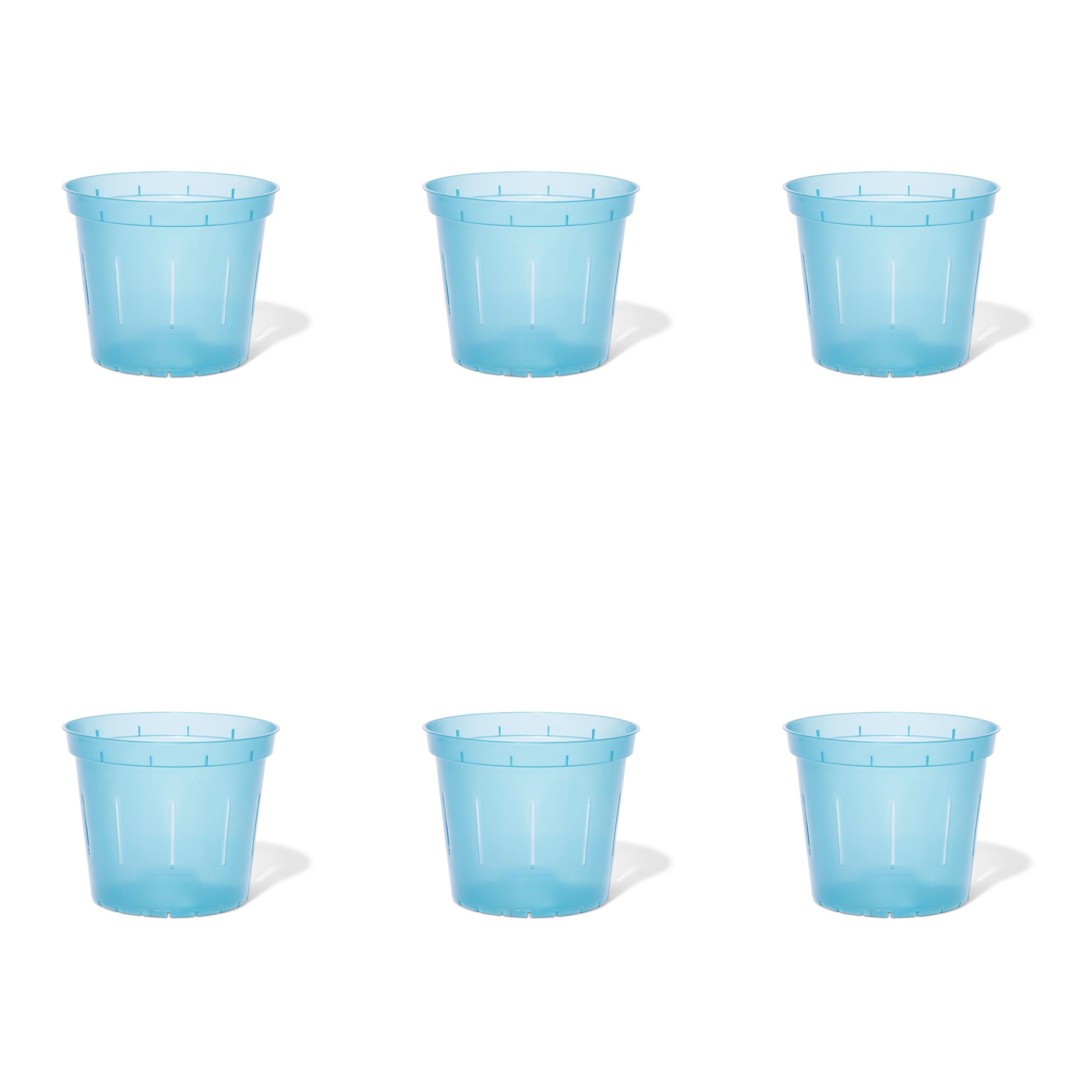 6 inch Slotted Orchid Pot (6 Pack)