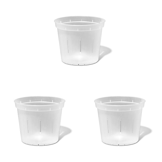 6 inch Slotted Orchid Pot (3 Pack)