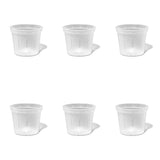 6 inch Slotted Orchid Pot (6 Pack)