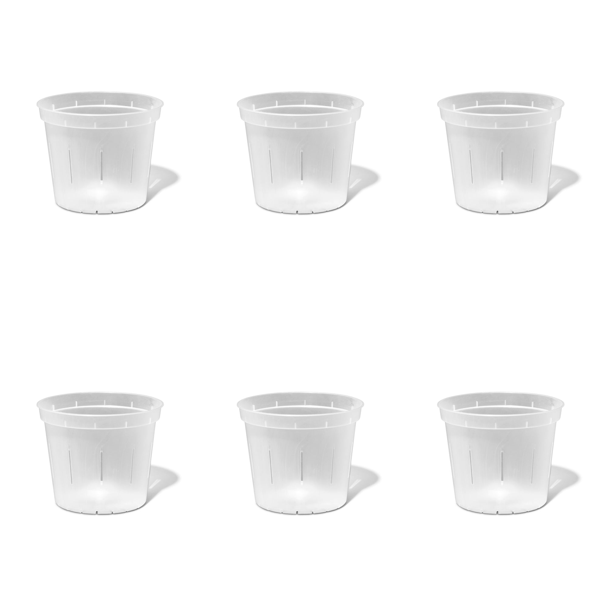 6 inch Slotted Orchid Pot (6 Pack)